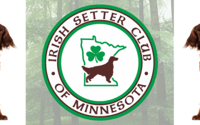 Irish Setter Club of Minnesota