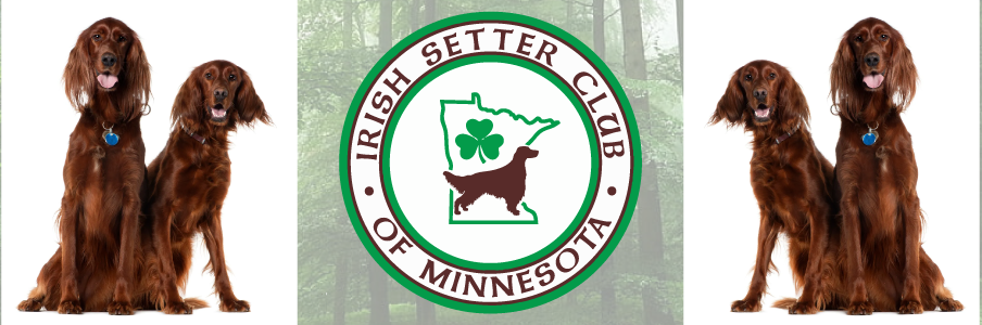 Irish Setter Club of Minnesota